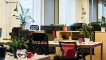 biophilic design in the workplace