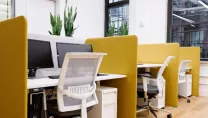 Office desks with yellow acoustic desk screens installed