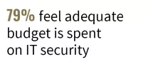 79% feel adequate budget is spent on IT security
