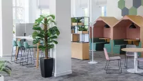Modern office space with plants and meetings pods