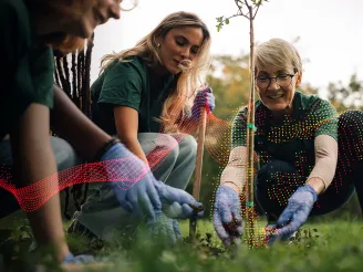 Volunteers gardening for charity