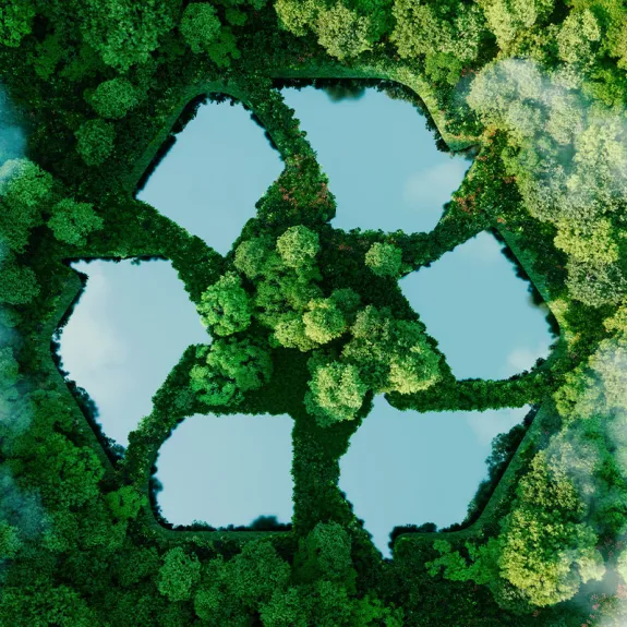 Sustainability and corporate social responsibility 