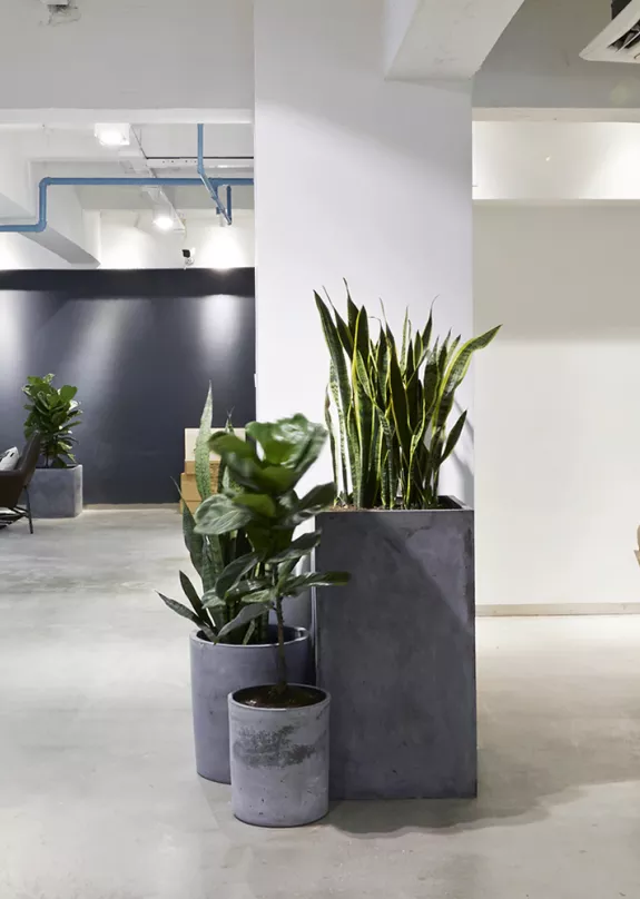 An image of an office