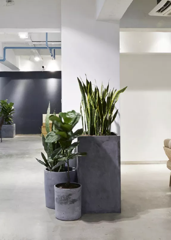 An image of an office