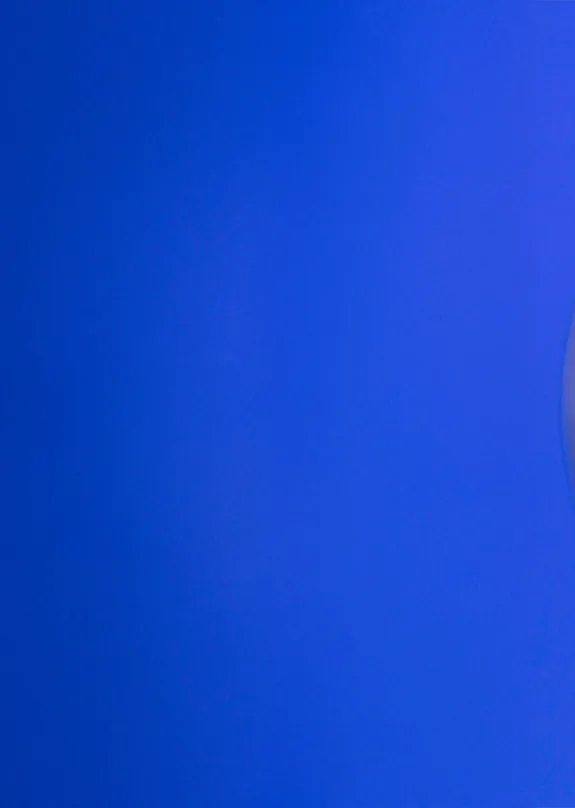 Microsoft Power Pages banner 
