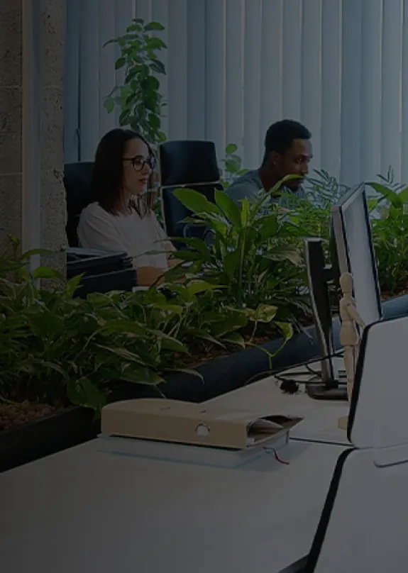 people working at desks with office chairs